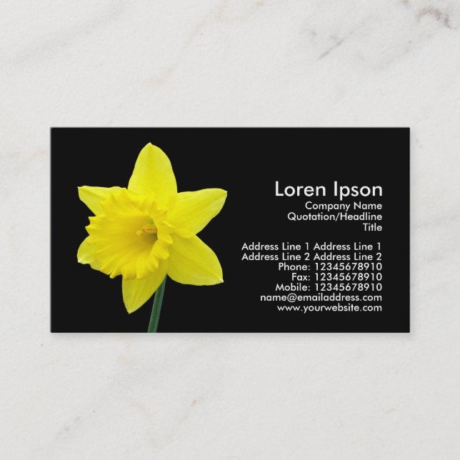 Daffodil - Black Business Card (Front)