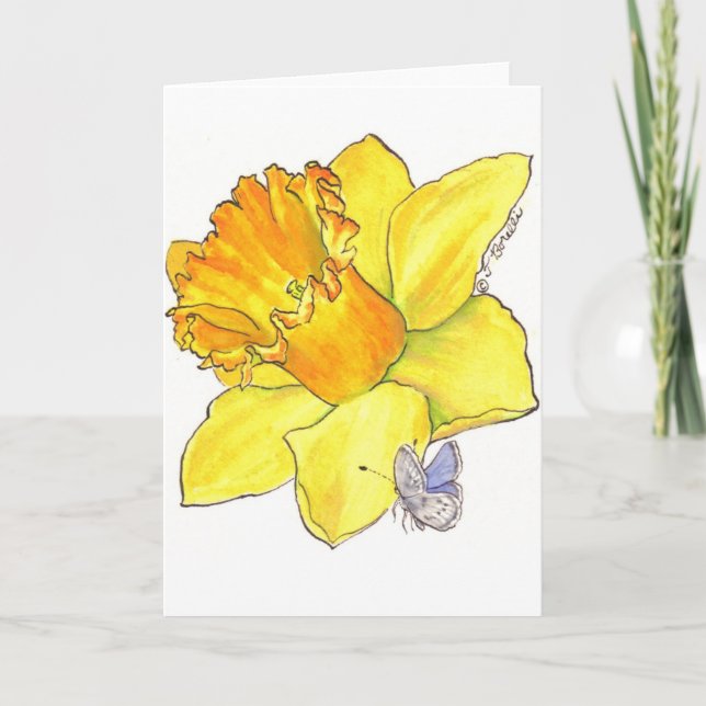 Daffodil blank card (Front)