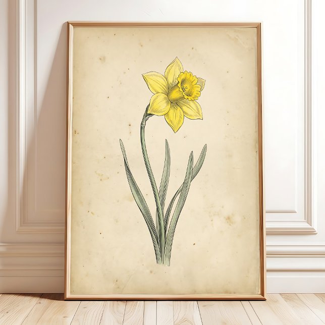 Daffodil Botanical Antique Wall Art (Creator Uploaded)