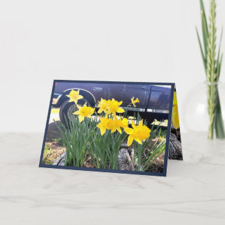 Daffodil by my old truck greeting card, gratitude card