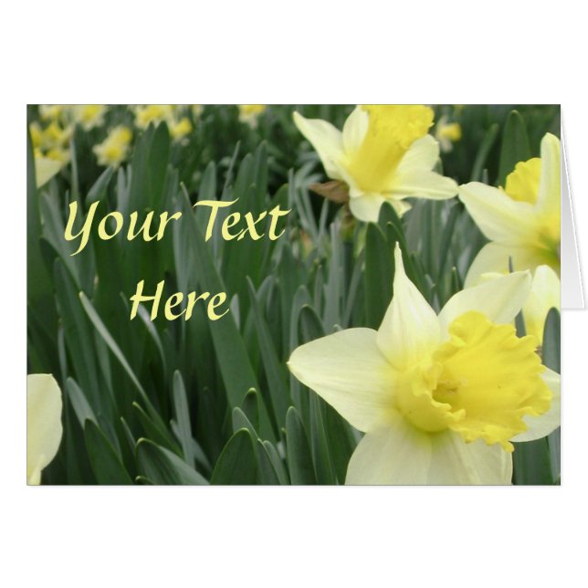 Daffodil Card (Front Horizontal)