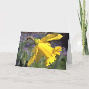 Daffodil Card