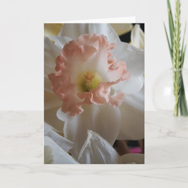 Daffodil Card (Front)