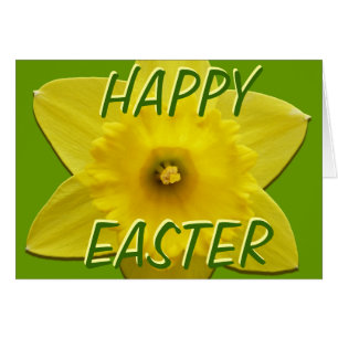 Daffodil Cards Personalized Daffodil Flower Cards