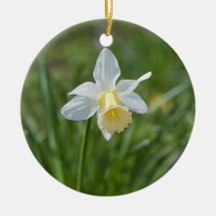 Daffodil Ceramic Tree Decoration