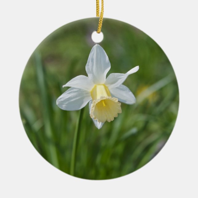 Daffodil Ceramic Tree Decoration (Front)