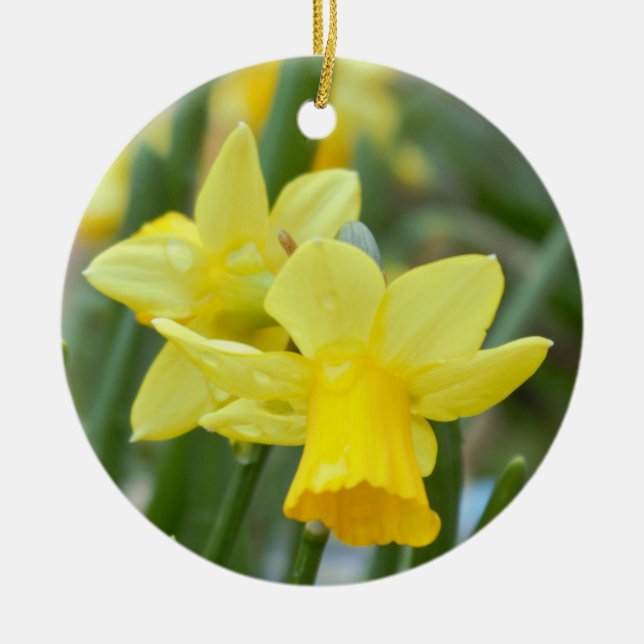Daffodil Ceramic Tree Decoration (Front)
