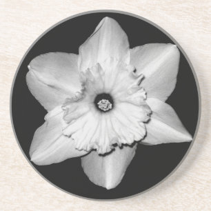 Daffodil Close-up (B&W) Coaster