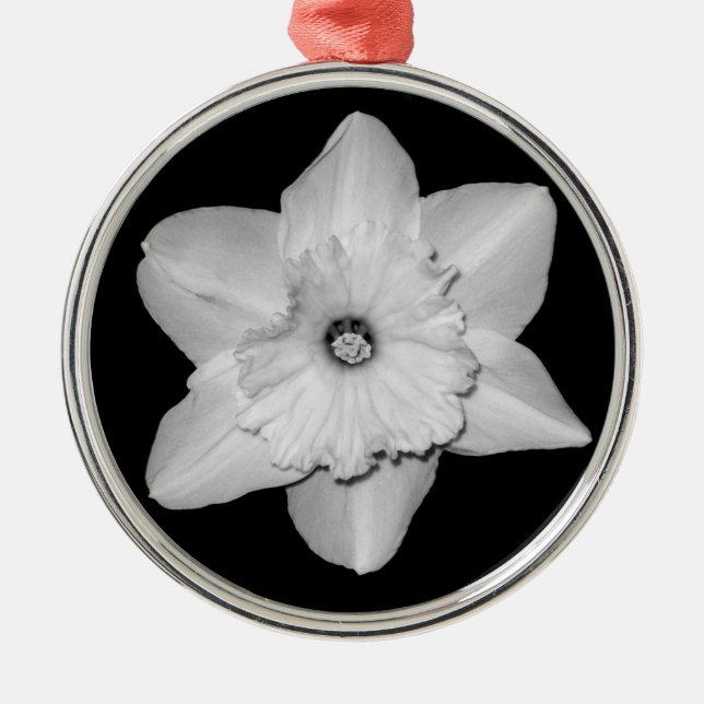 Daffodil Close-up (B&W) Ornament (Front)