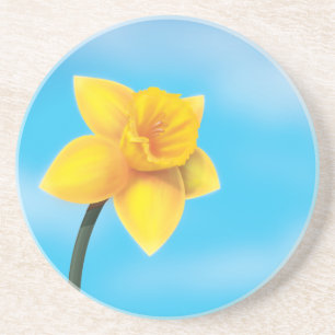 Daffodil Coaster