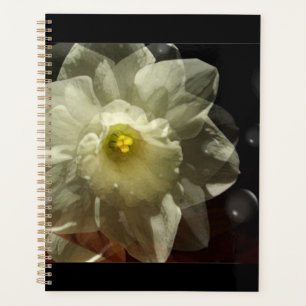 Daffodil Dreams Planner
