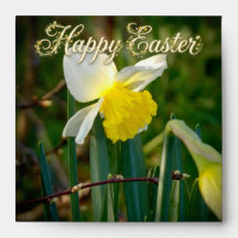 Daffodil & Easter wishes