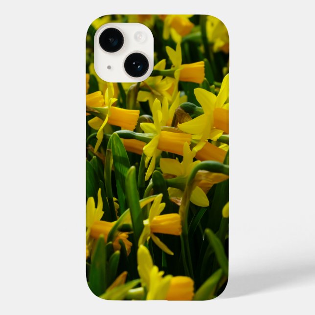 Daffodil Family iPhone Case (Back)