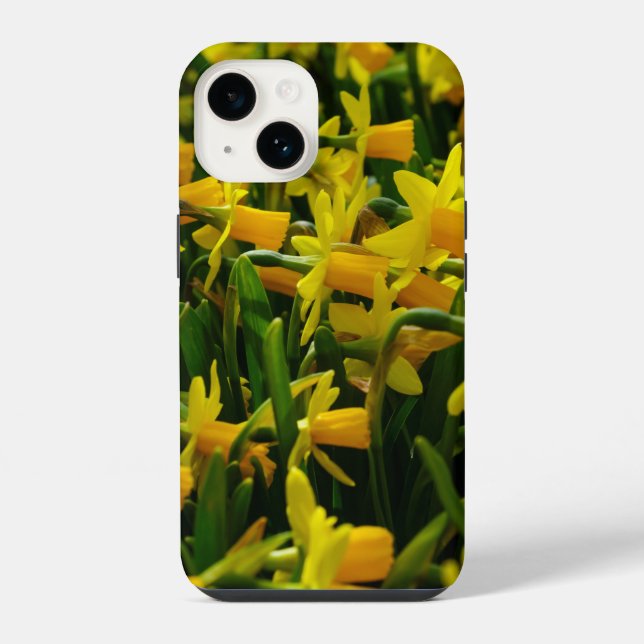 Daffodil Family iPhone Case (Back)