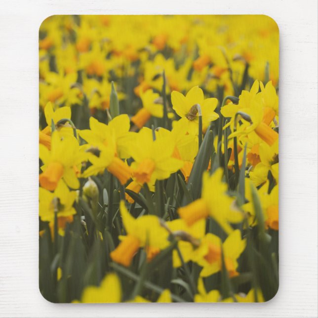 Daffodil Field Mouse Mat (Front)