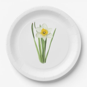 Daffodil Flower Botanical Art Paper Plate