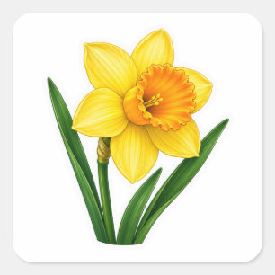 Daffodil Flower Spring Floral Art Sticker