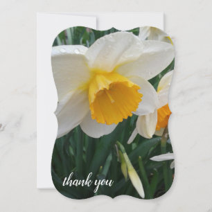 Daffodil Flower Thank You Card