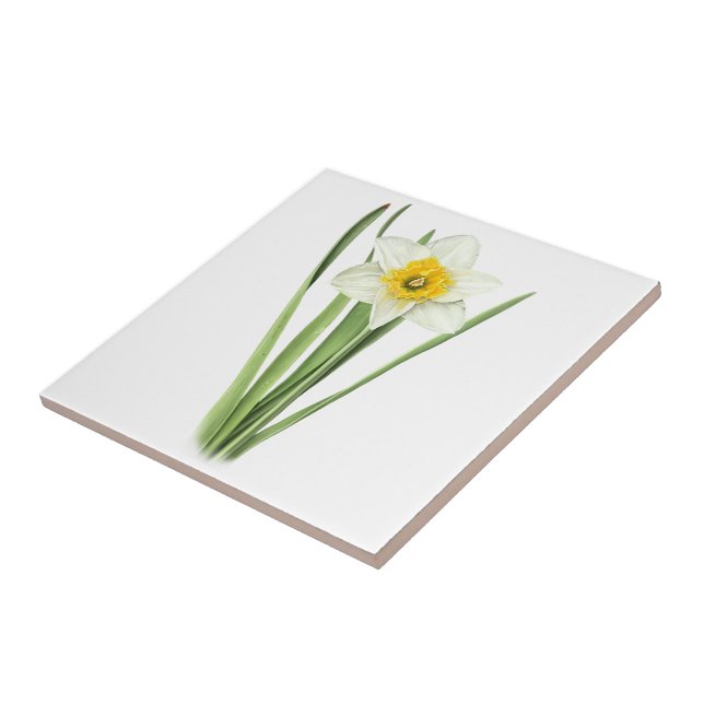 Daffodil Flower Tile (Side)