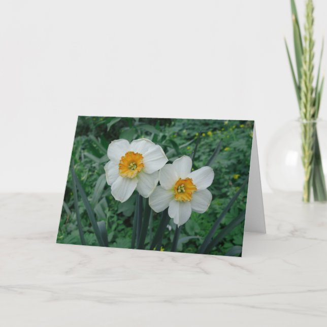 Daffodil Flowers Card (Front)