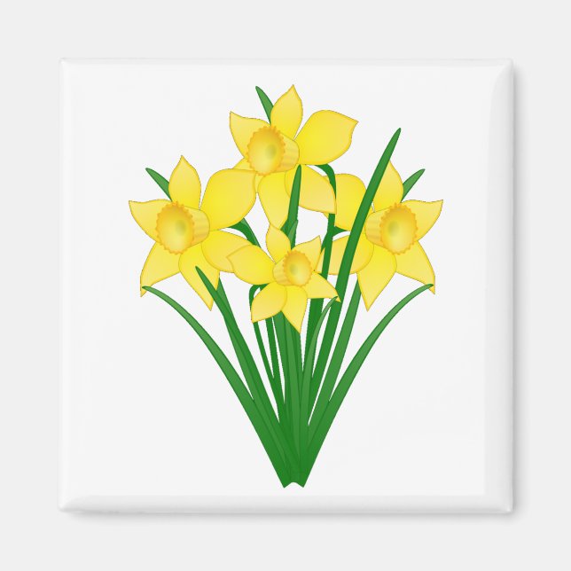 Daffodil Flowers Magnet (Front)