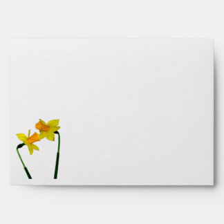 Daffodil Flowers on Gift Products Envelope