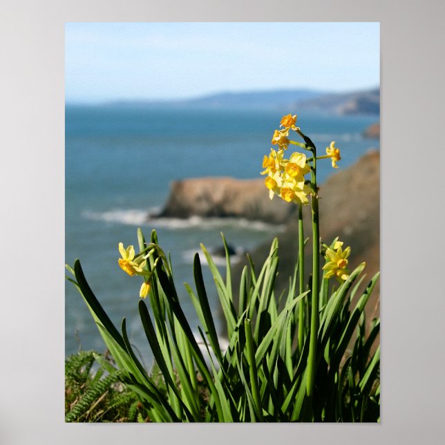 Daffodil Flowers on Pacific Coast, portrait 1 of 2 Poster (Front)