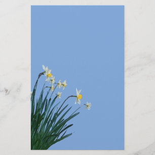 Daffodil Flowers Stationery
