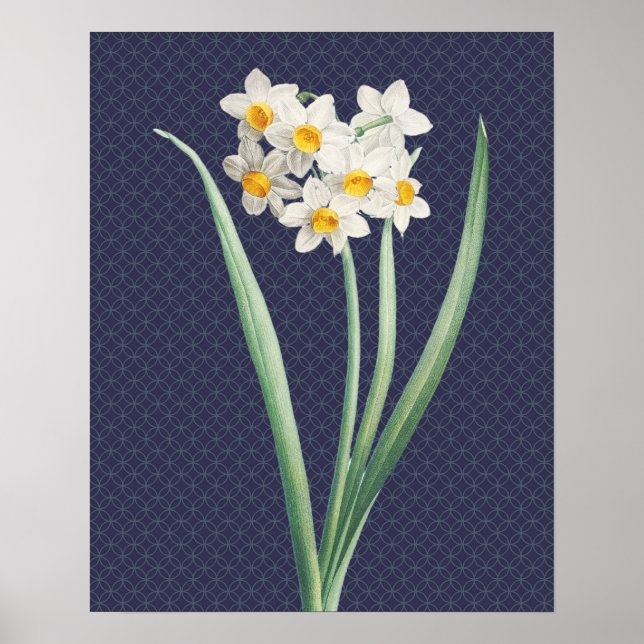 Daffodil Flowers Vintage Retro Art Poster (Front)