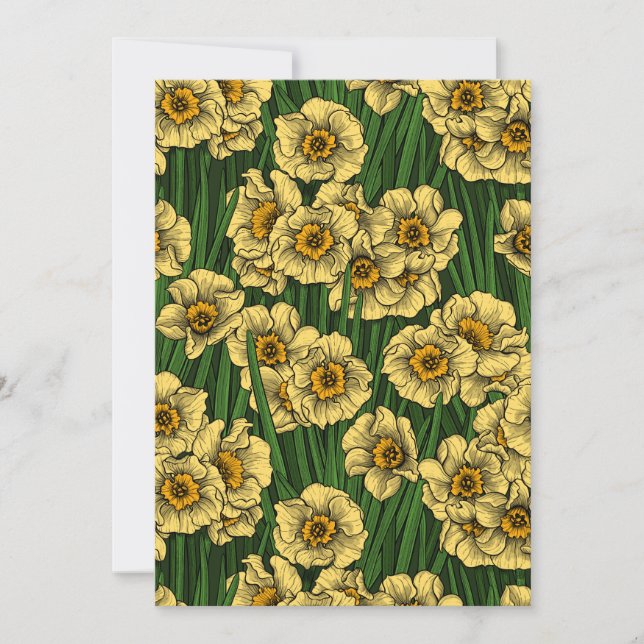 Daffodil garden (Front)