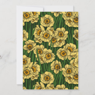 Daffodil garden