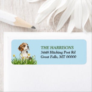 Daffodil Garden Beagle Dog Puppy