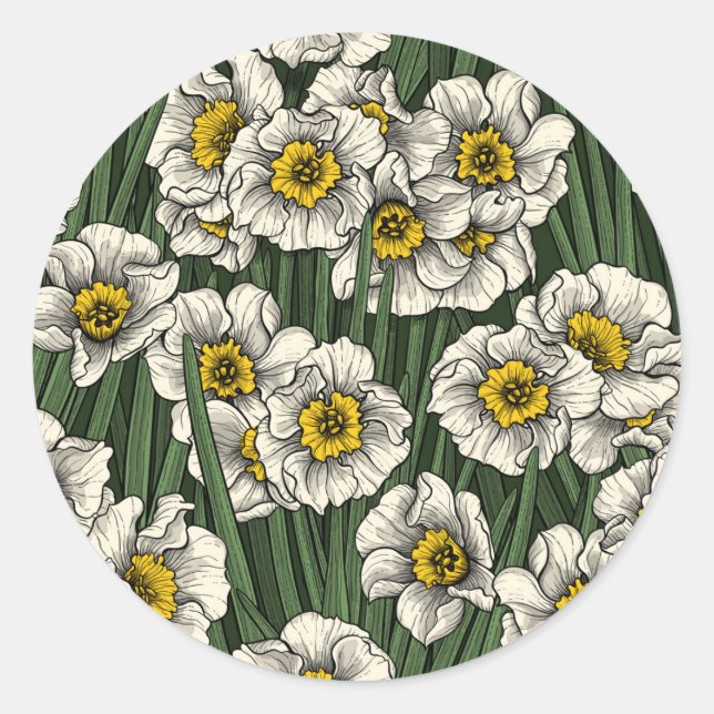Daffodil garden classic round sticker (Front)