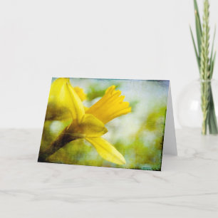 Daffodil ・ Greeting Card