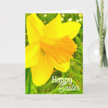 Daffodil "Happy Easter!" - Folded Greeting Card