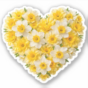 Daffodil Heart March Birth Flower