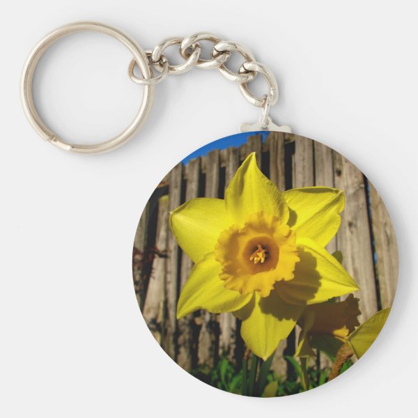 Daffodil Gifts & Gift Ideas Zazzle UK
