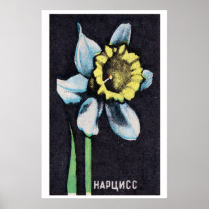 Daffodil - Matchbox Print - Aesthetic Wall Art