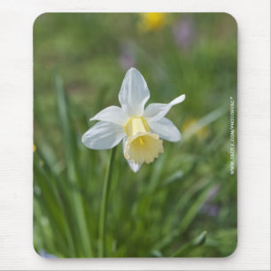 Daffodil Mouse Mat
