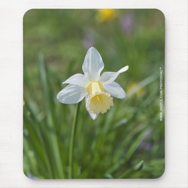 Daffodil Mouse Mat (Front)