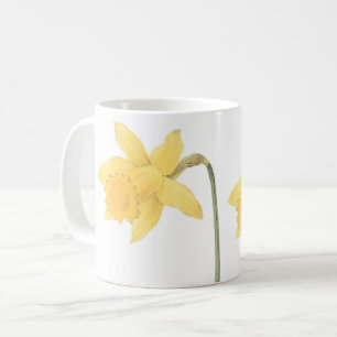 daffodil(Narcissus pseudo-narcissus) by Redouté Coffee Mug