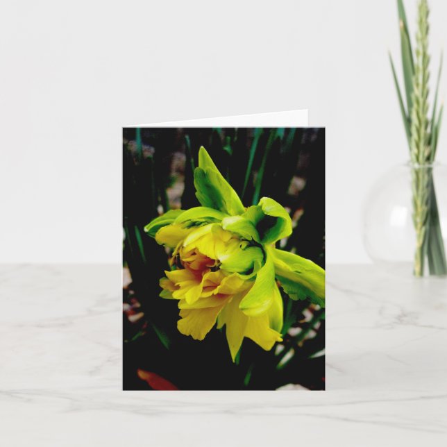 Daffodil Note Card (Front)