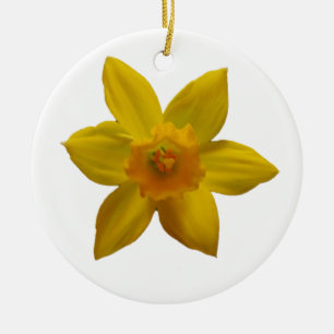 Daffodil Ornament