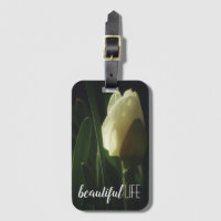 Daffodil Photography Beautiful Life