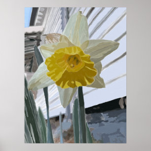 Daffodil Portrait Poster