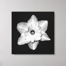 'Daffodil Portrait' Wrapped Canvas Print