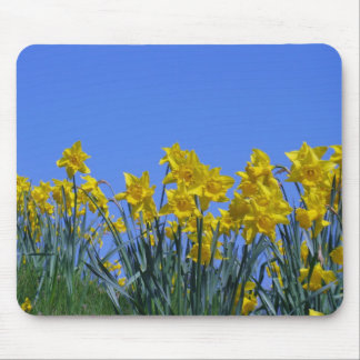 Daffodil Sky Mouse Mat