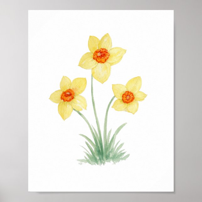 Daffodil Spring Flower Painting Garden Poster (Front)