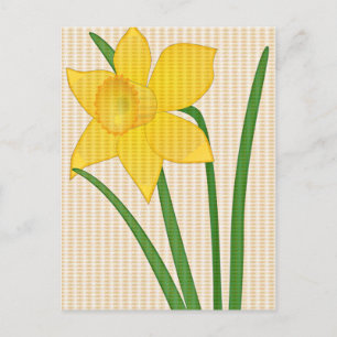 Daffodil Springtime Yellow flower design Postcard