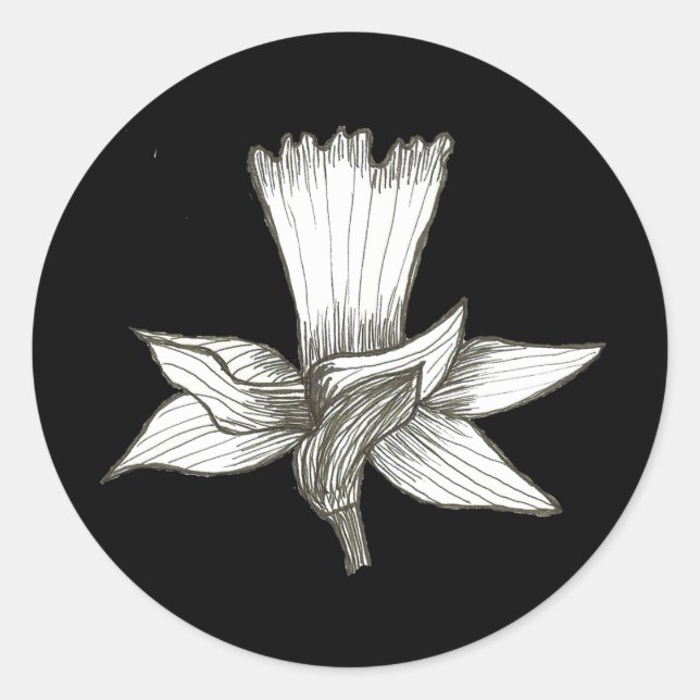 Daffodil Sticker (Front)